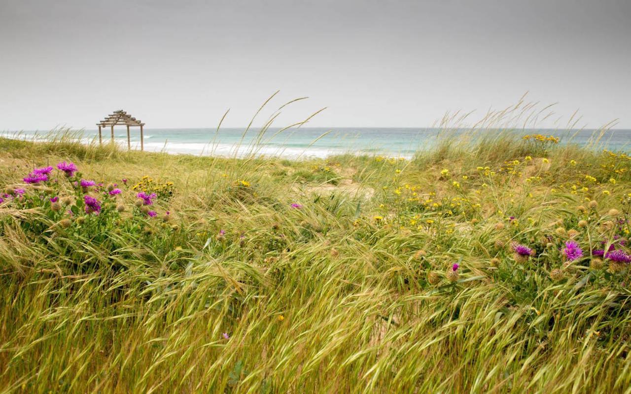 Romantic Beach Cabin - Playa El Palmar 엘 팔마르 외부 사진